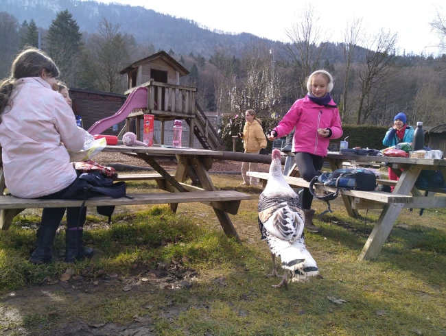 WhatsApp Image 2026-02-23 at 16.36.51 (3).jpeg